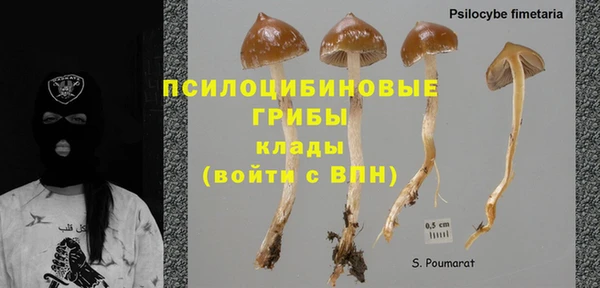 MESCALINE Медвежьегорск