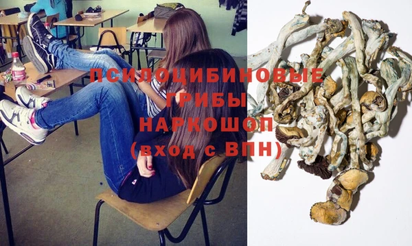 MESCALINE Медвежьегорск