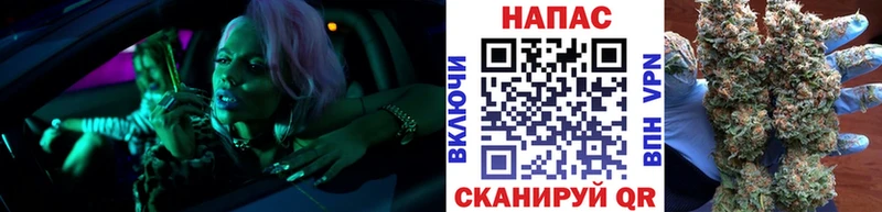 Купить где  Абинск  Конопля Bruce Banner 